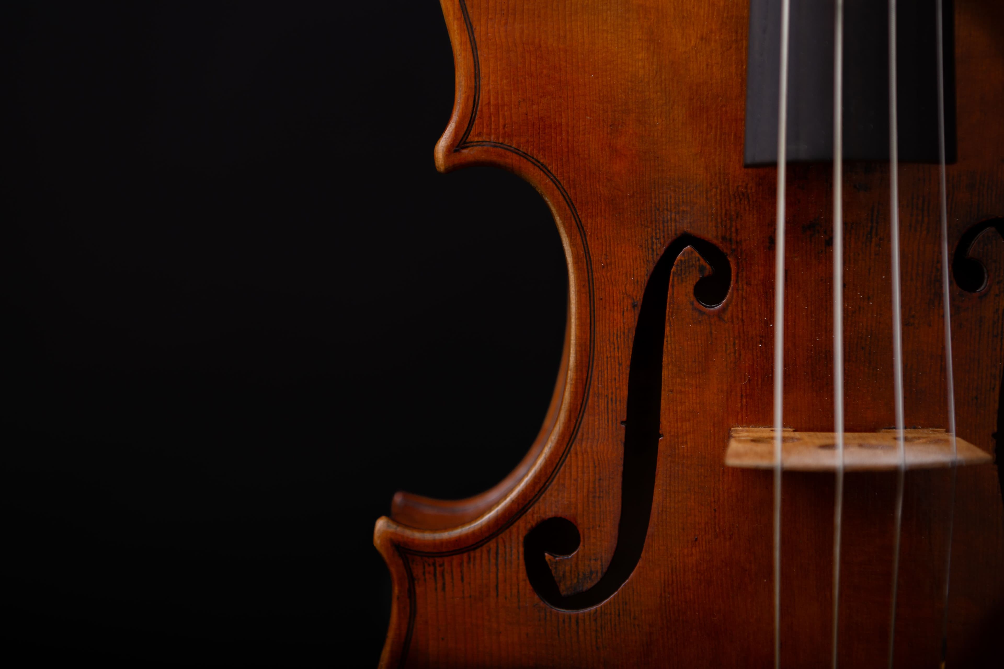 Close-up of a violin's f-hole and strings